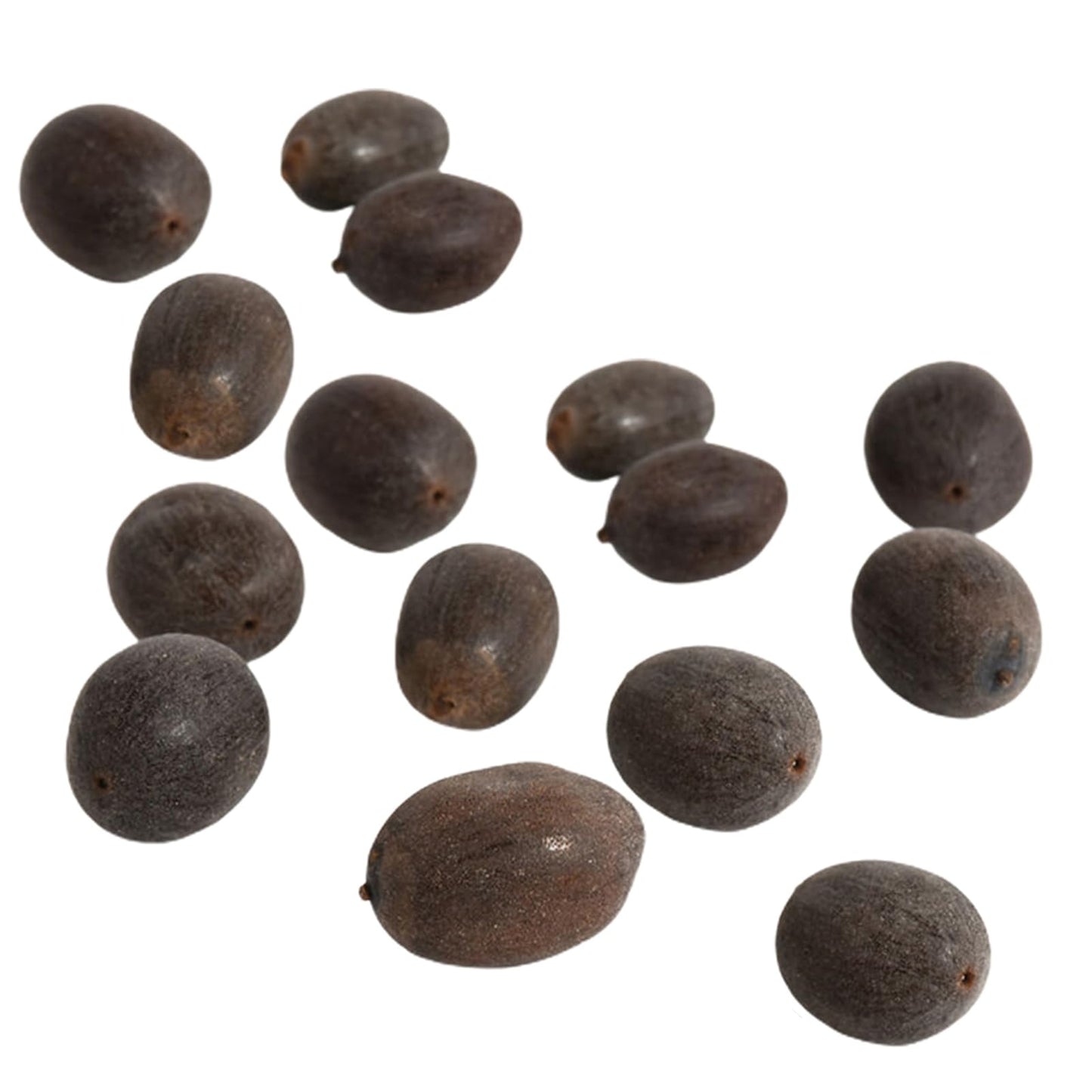 Kwiat Lotosu - Magiczne Nasiona do Twojego Ogrodu